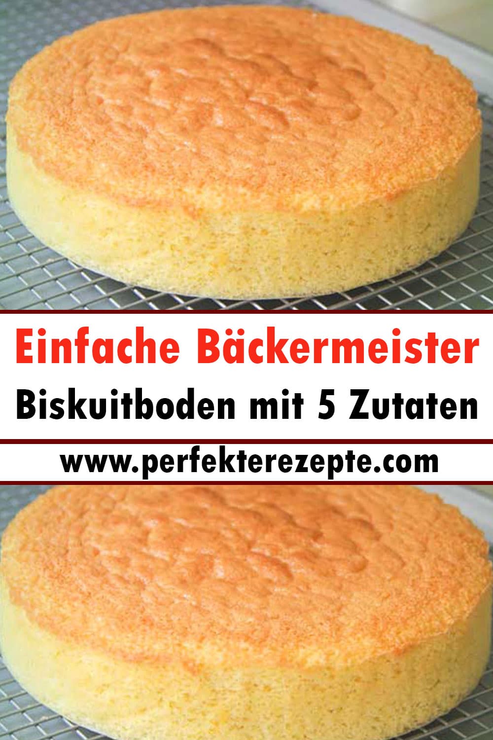 Einfache Bäckermeister Biskuitboden Rezept mit 5 Zutaten