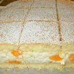 Mandarinen Quark Schnitten mit Suchtpotenzial Rezept
