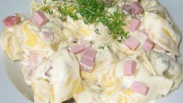 Tortellini mit Käse Sahne Soße Rezept