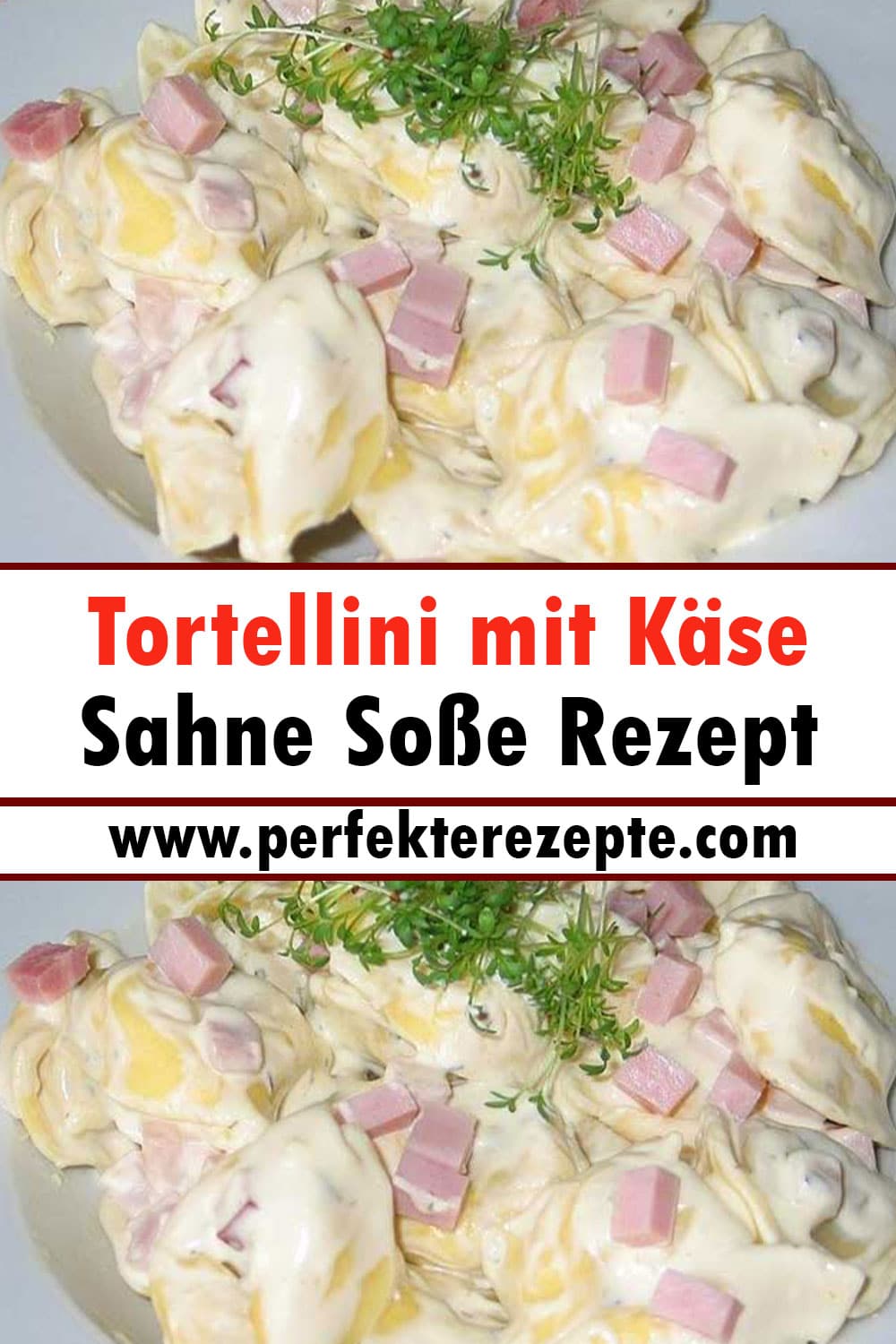 Tortellini mit Käse Sahne Soße Rezept