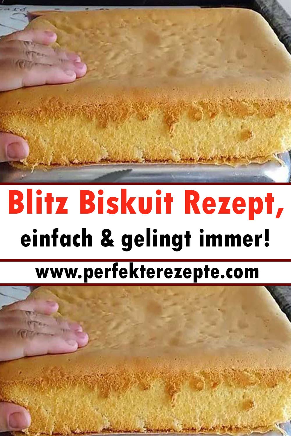 Blitz Biskuit Rezept, einfach & gelingt immer!