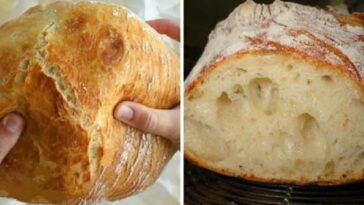 Brot Rezept (weich und knusprig)