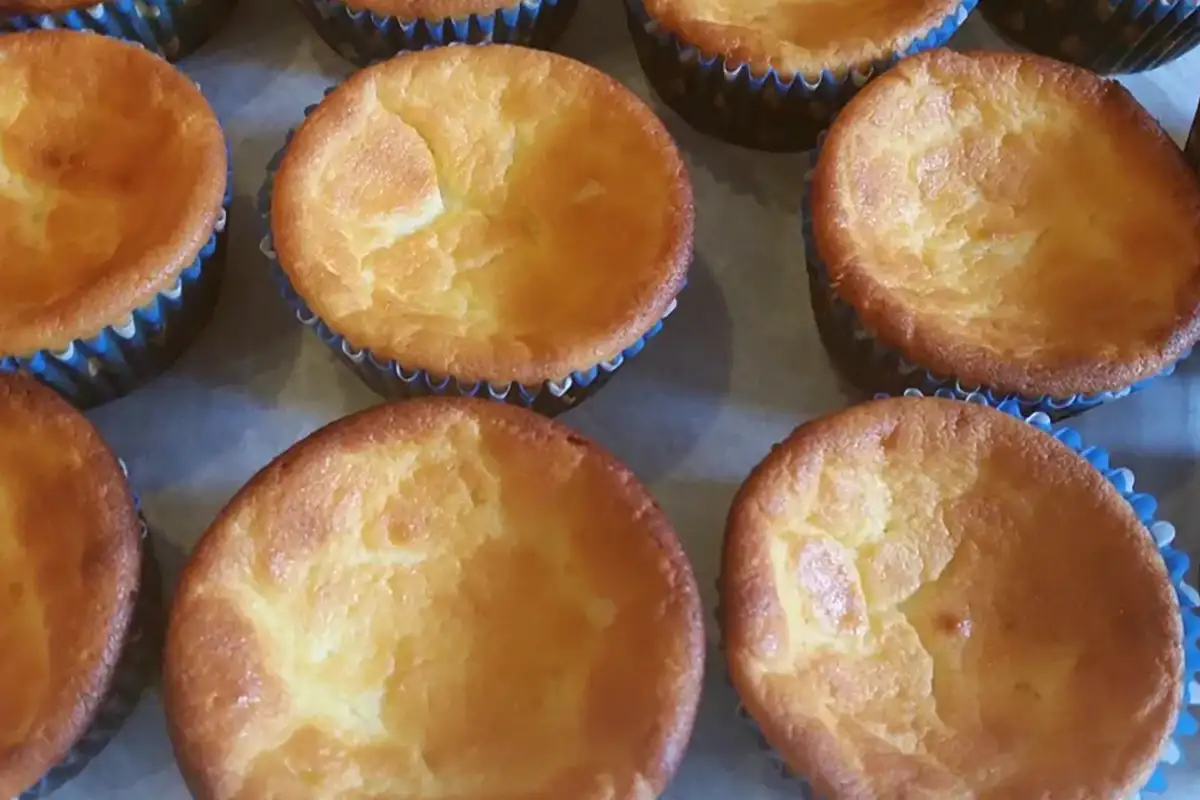 Quark Muffins Mit Vanillepudding Rezept