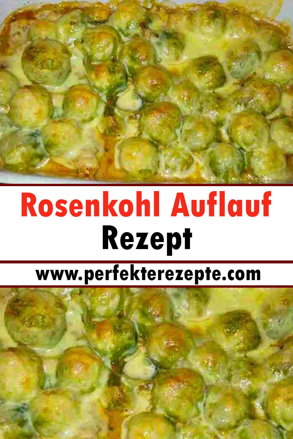 Rosenkohl Auflauf Rezept