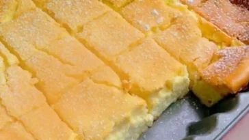 Blitzschneller Rahmkuchen vom Blech Rezept