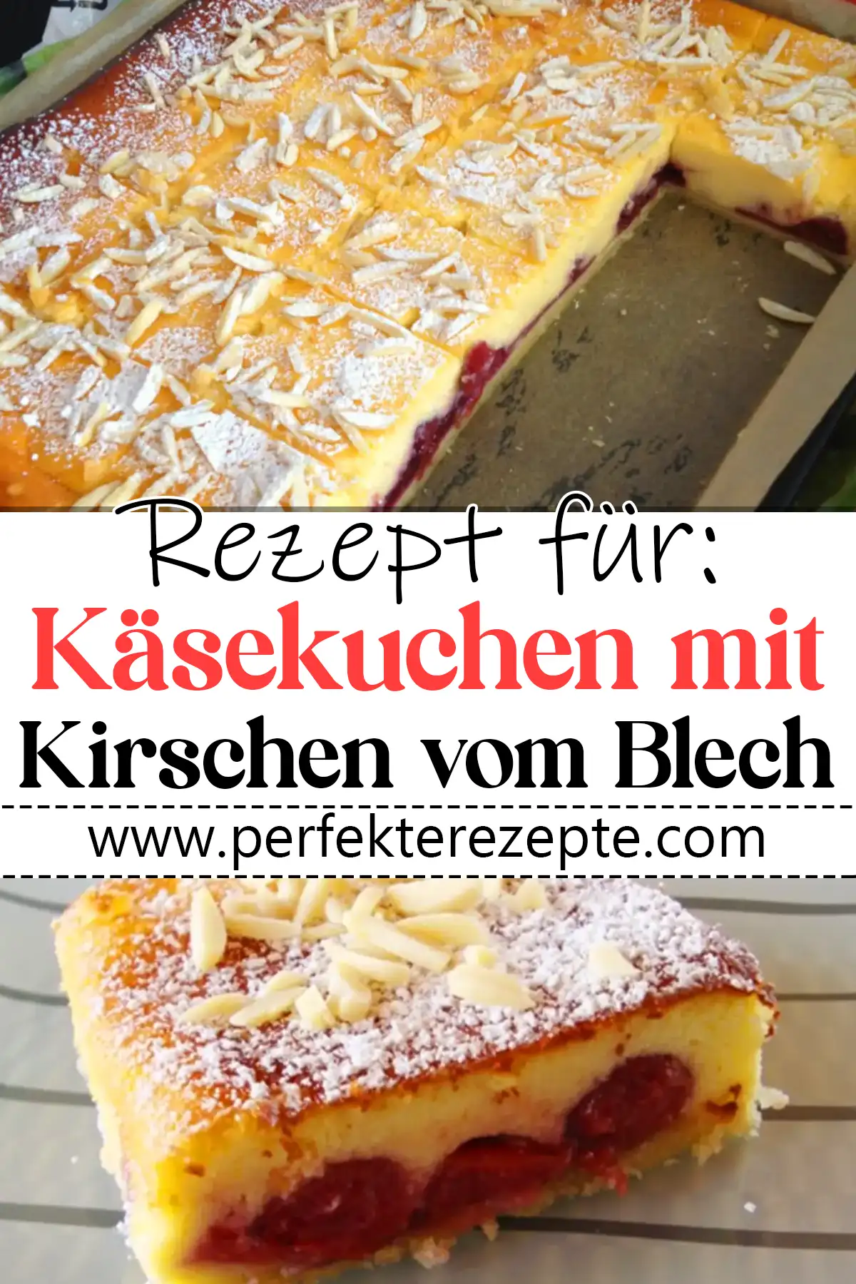 Käsekuchen mit Kirschen vom Blech Rezept