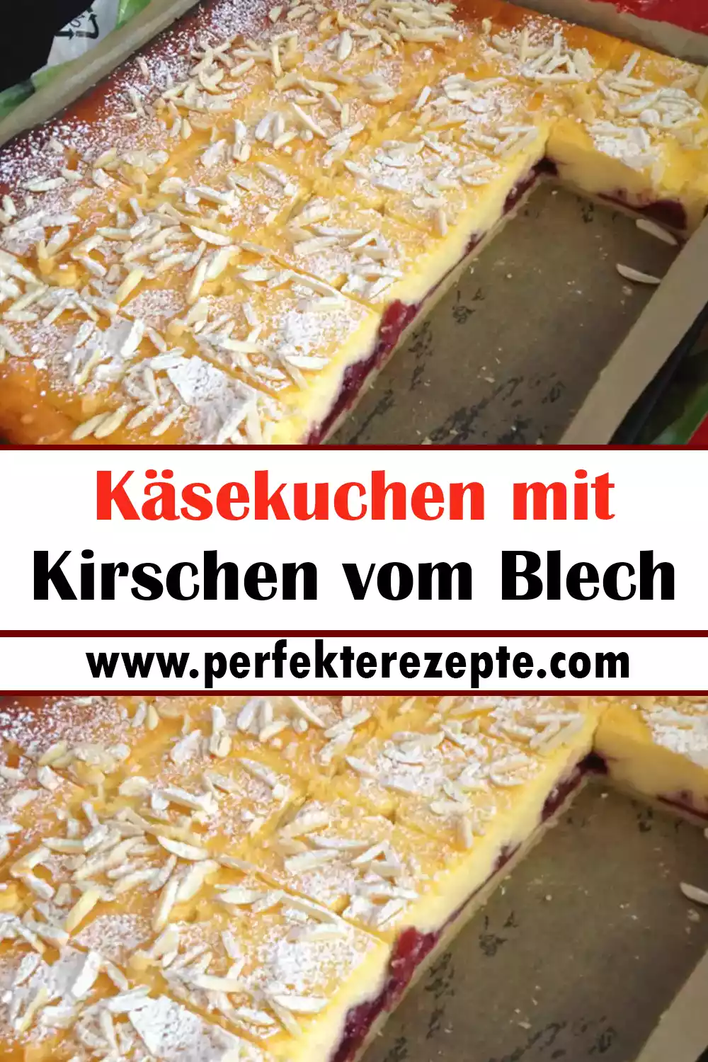 Käsekuchen mit Kirschen vom Blech Rezept