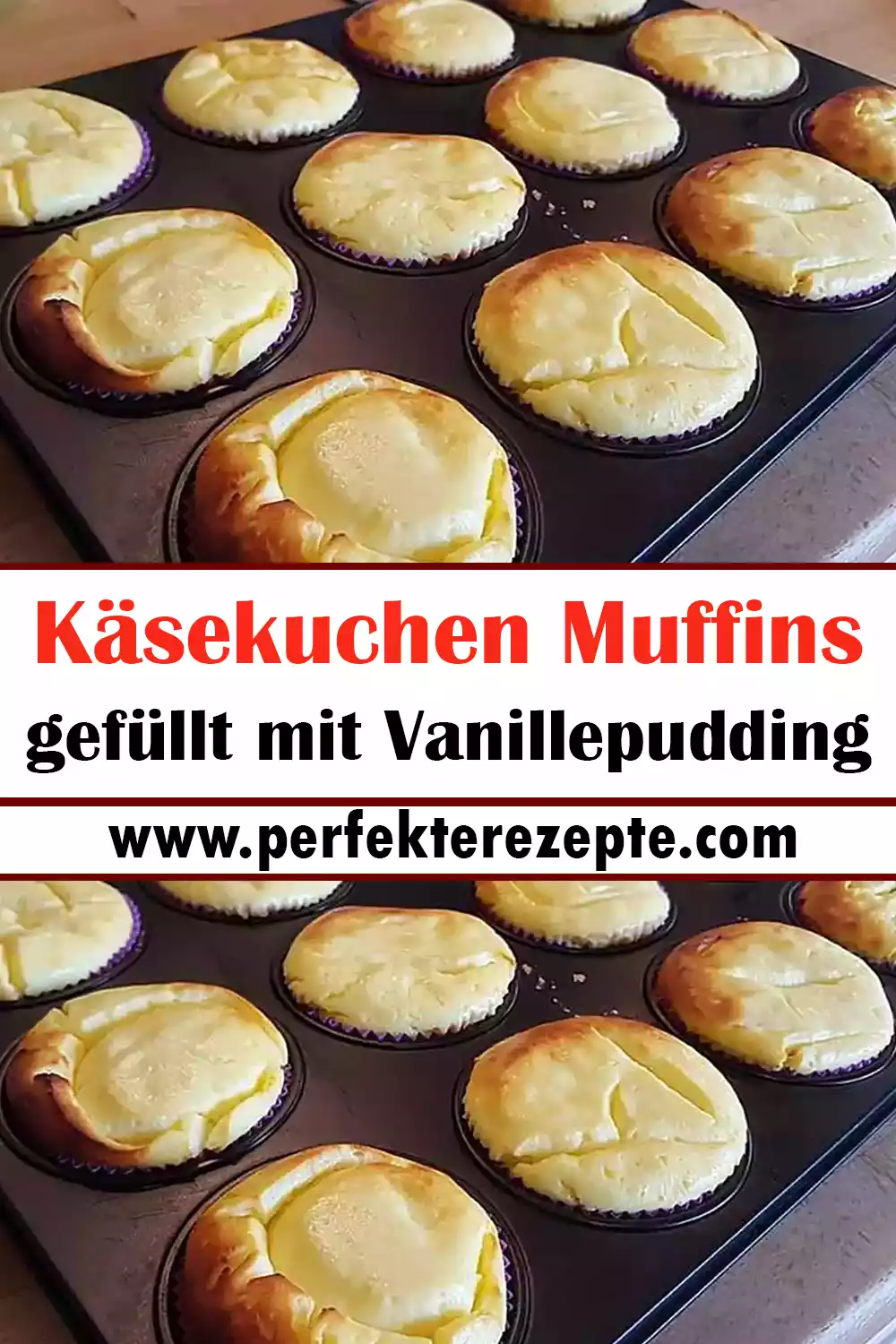 Käsekuchen Muffins gefüllt mit Vanillepudding Rezept