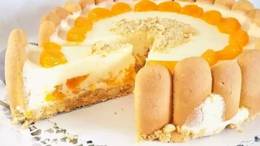 Mandarinen Philadelphia Torte Rezept: ohne backen