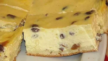 Omas cremiger Schmandkuchen mit Pudding Rezept