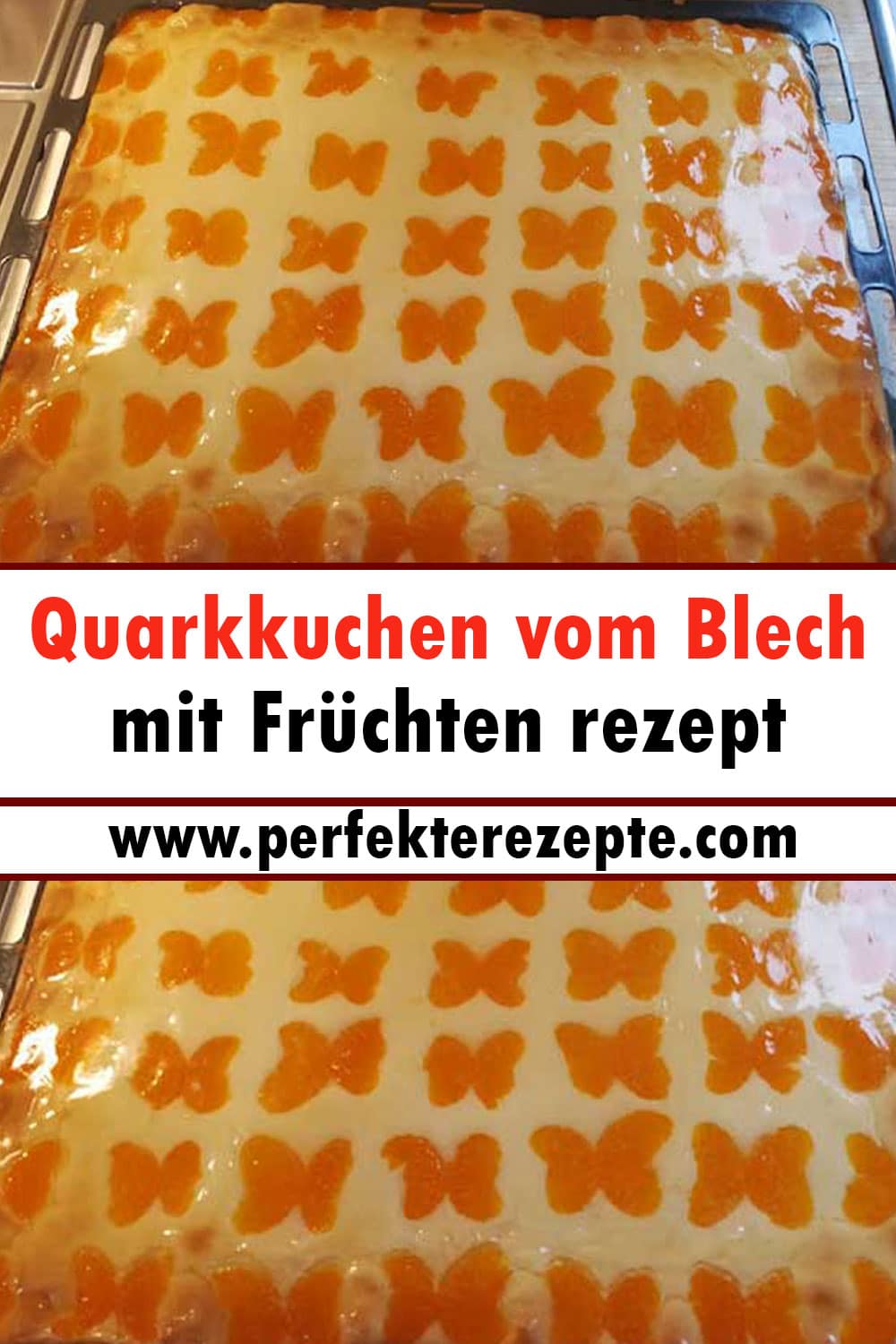 Quarkkuchen vom Blech mit Früchten rezept
