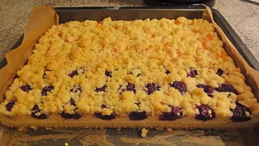 Schneller Quark-Streuselkuchen mit Obst Rezept