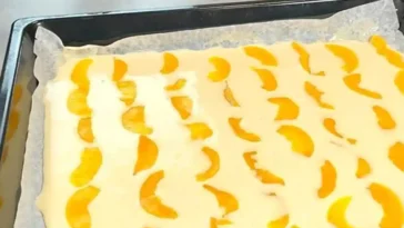 12 Esslöffel Blechkuchen in 10 Minuten fertig, inklusive Backzeit