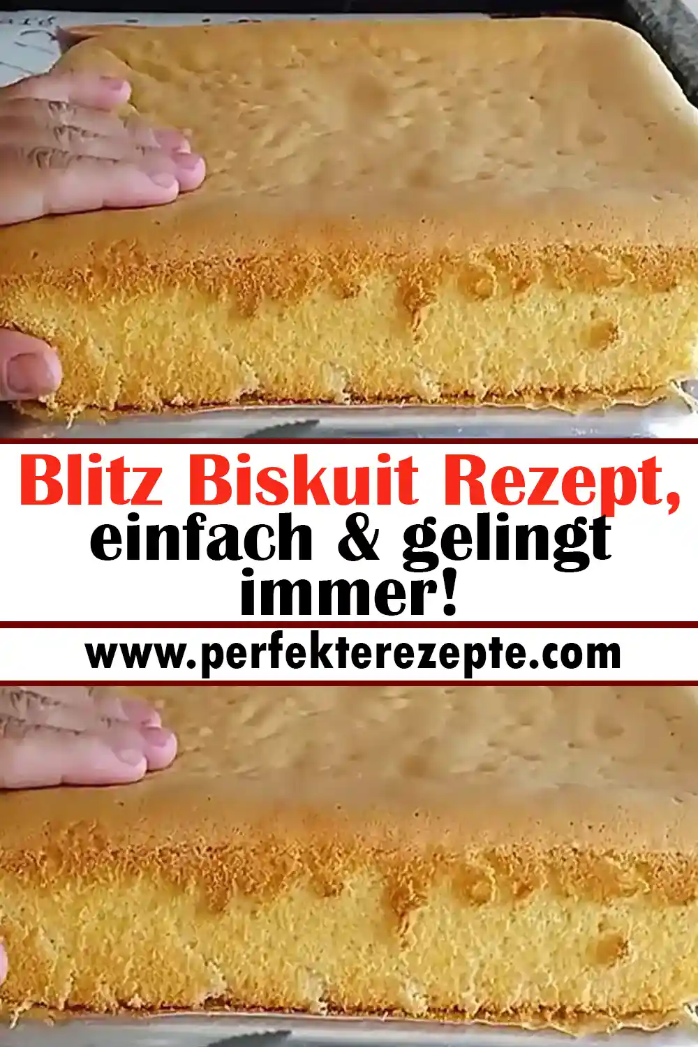 Blitz Biskuit Rezept, einfach & gelingt immer!