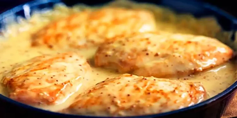 Hähnchenbrust-Frischkäse-Ragout Rezept