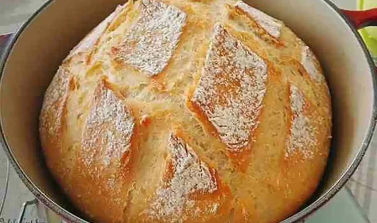 Hausbrot Rezept wie vom Bäcker, megalecker!