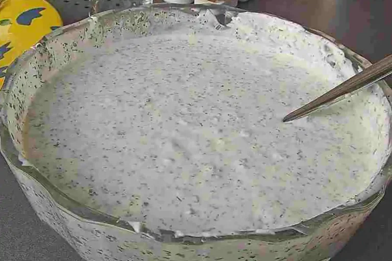Knoblauch Joghurtsoße Rezept passt zu allem!
