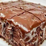 Niederländischer Schokokuchen Rezept