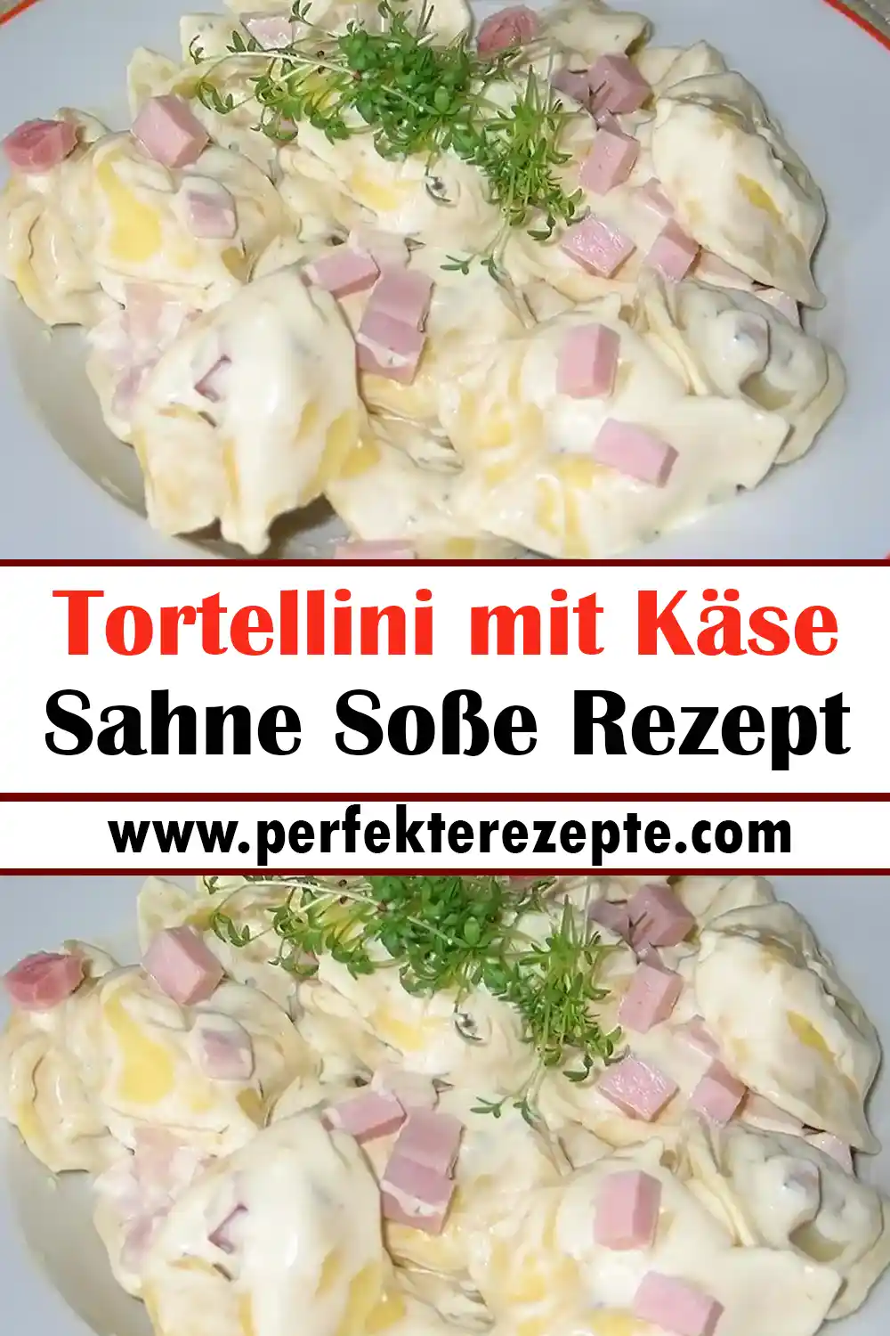 Tortellini mit Käse Sahne Soße Rezept