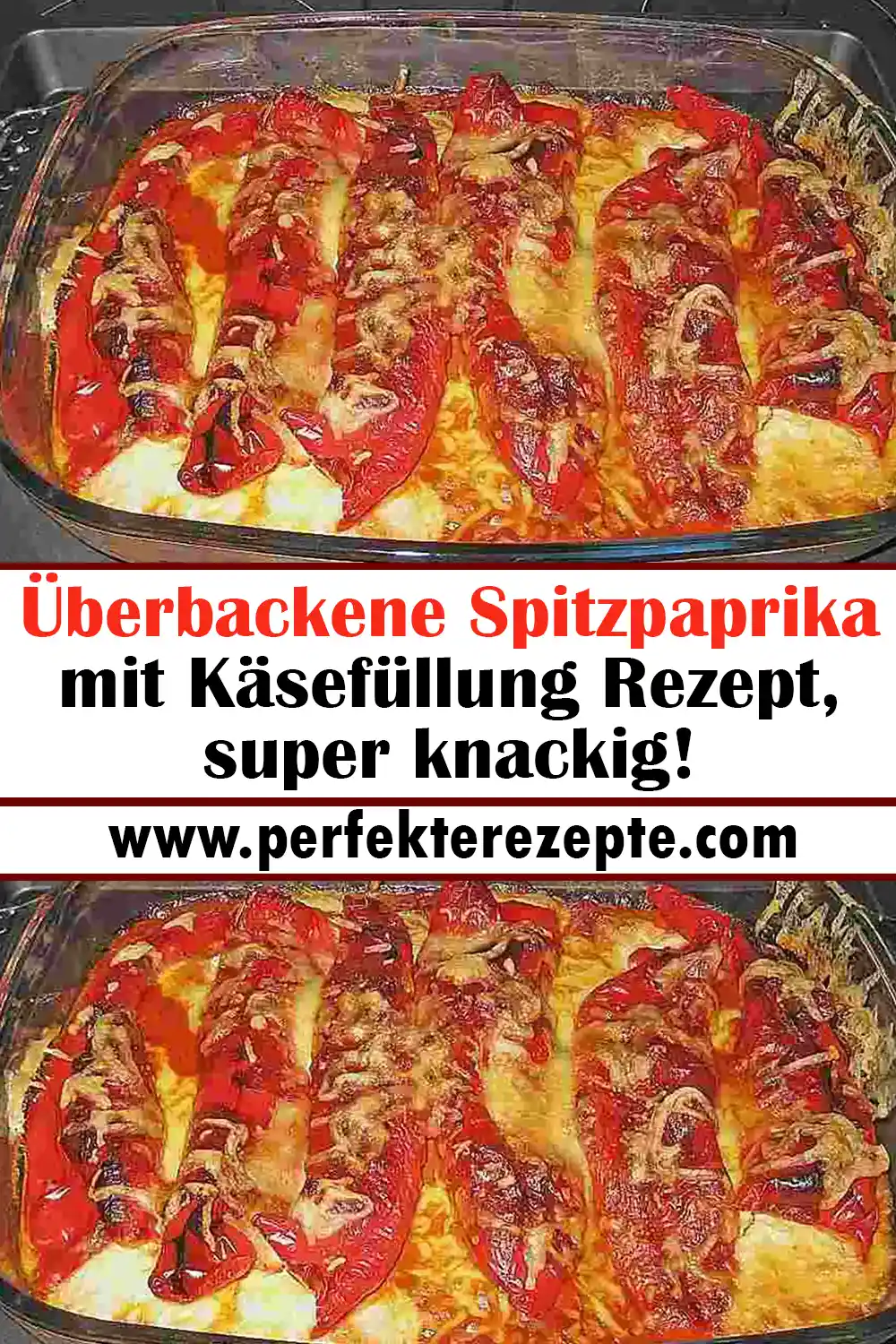 Überbackene Spitzpaprika mit Käsefüllung Rezept, super knackig!