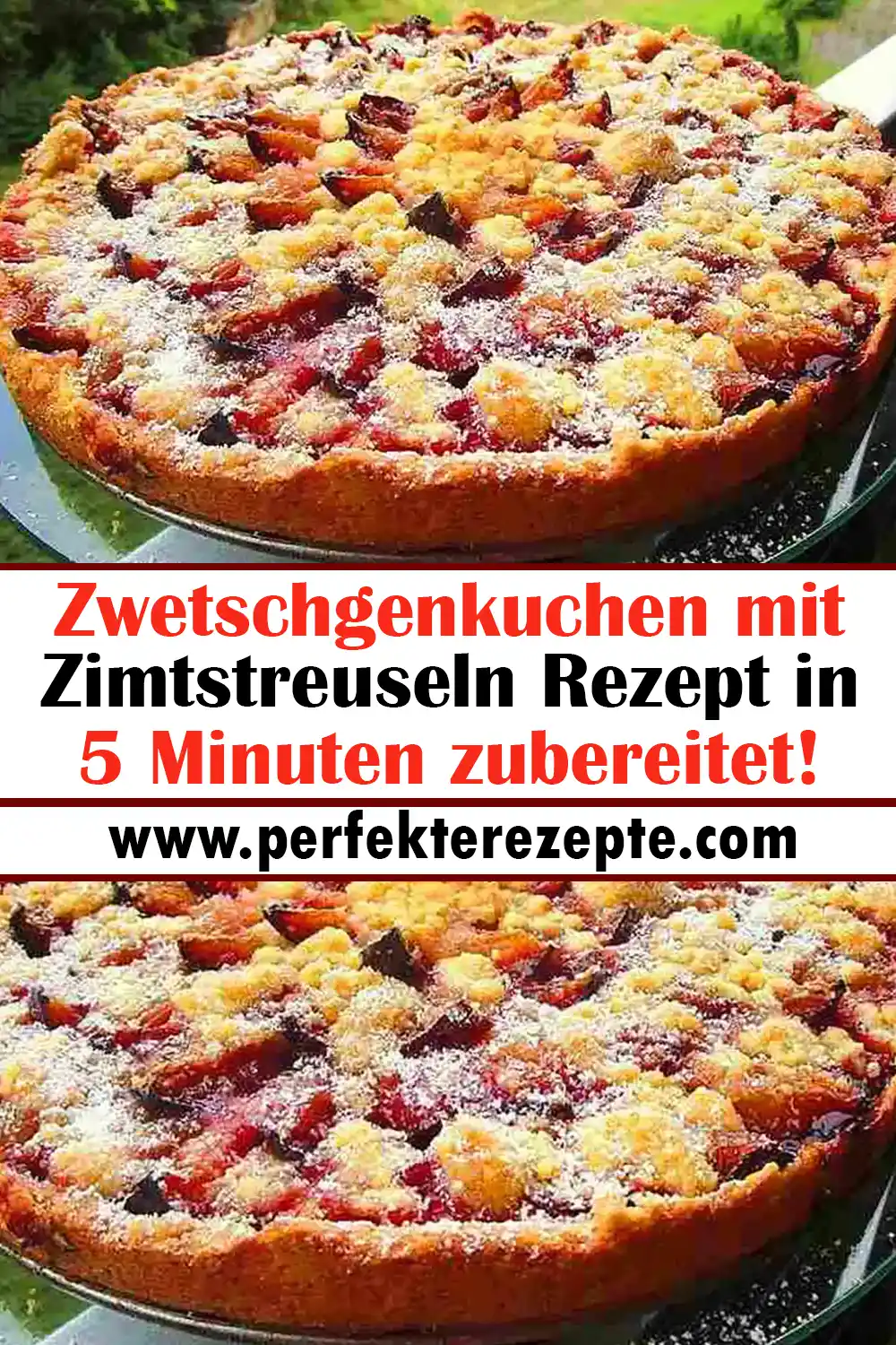 Zwetschgenkuchen mit Zimtstreuseln Rezept in 5 Minuten zubereitet!