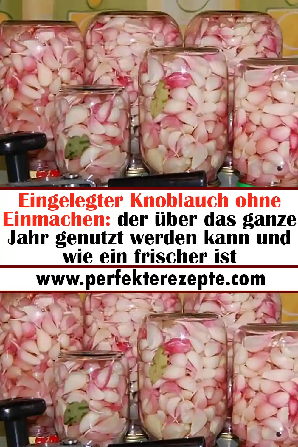 Eingelegter Knoblauch ohne Einmachen: der über das ganze Jahr genutzt werden kann und wie ein frischer ist