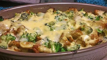 Gyrosauflauf Mit Sauce Hollandaise Rezept