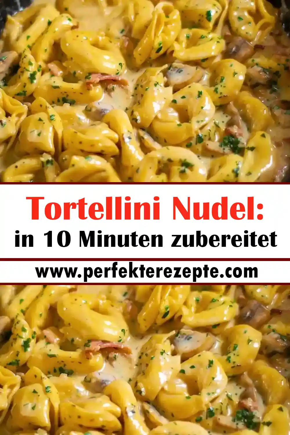Tortellini Nudel Rezept: in 10 Minuten zubereitet