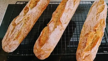 Baguette Magique Brot Rezept