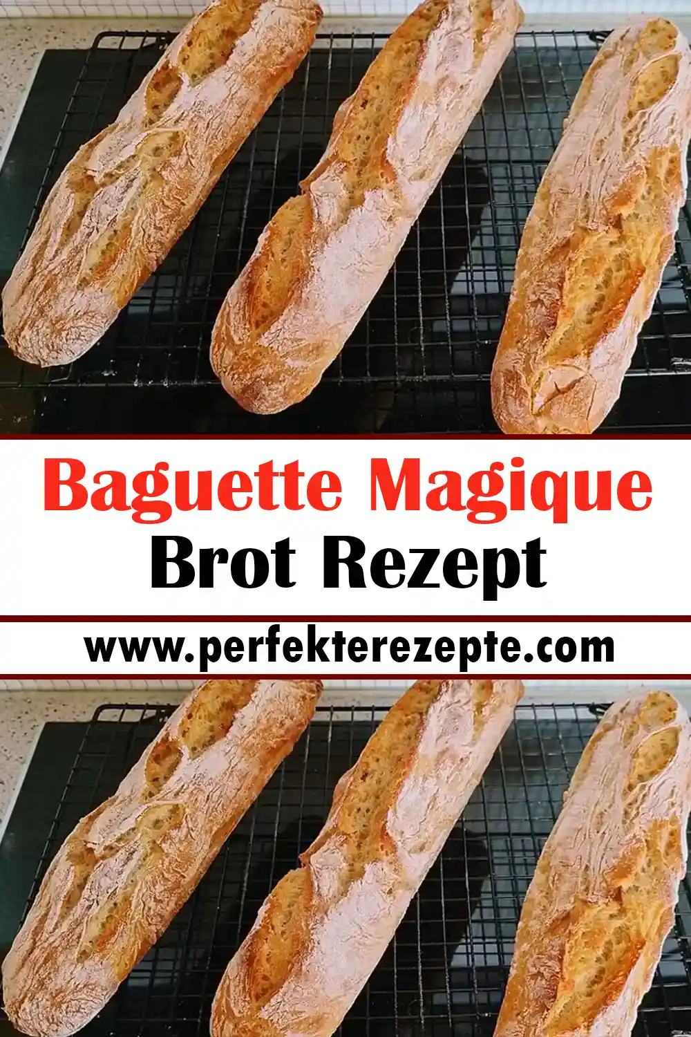 Baguette Magique Brot Rezept