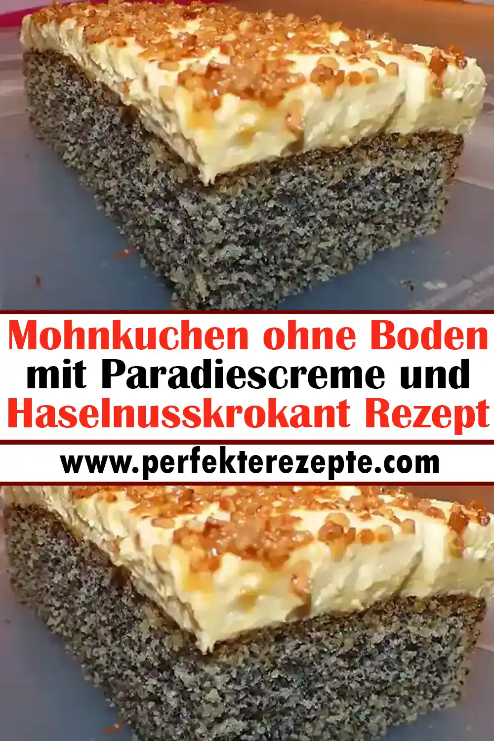 Kleiner Mohnkuchen Ohne Boden 20 Cm - Rezepte Suchen