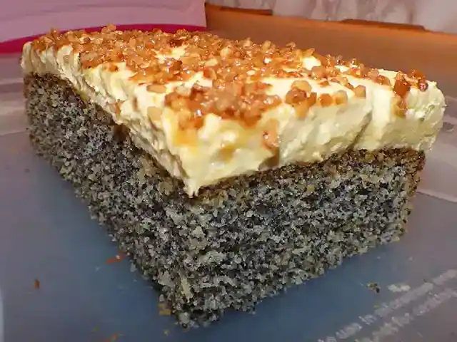 Kleiner Mohnkuchen Ohne Boden 20 Cm - Rezepte Suchen