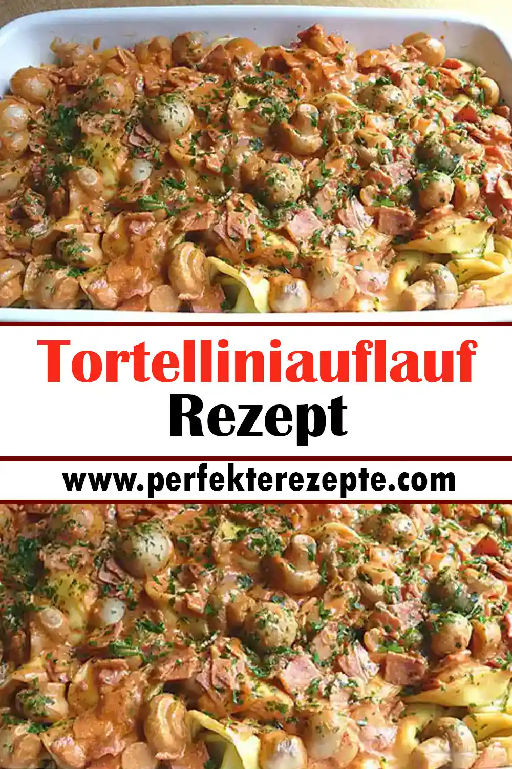 Tortelliniauflauf Rezept