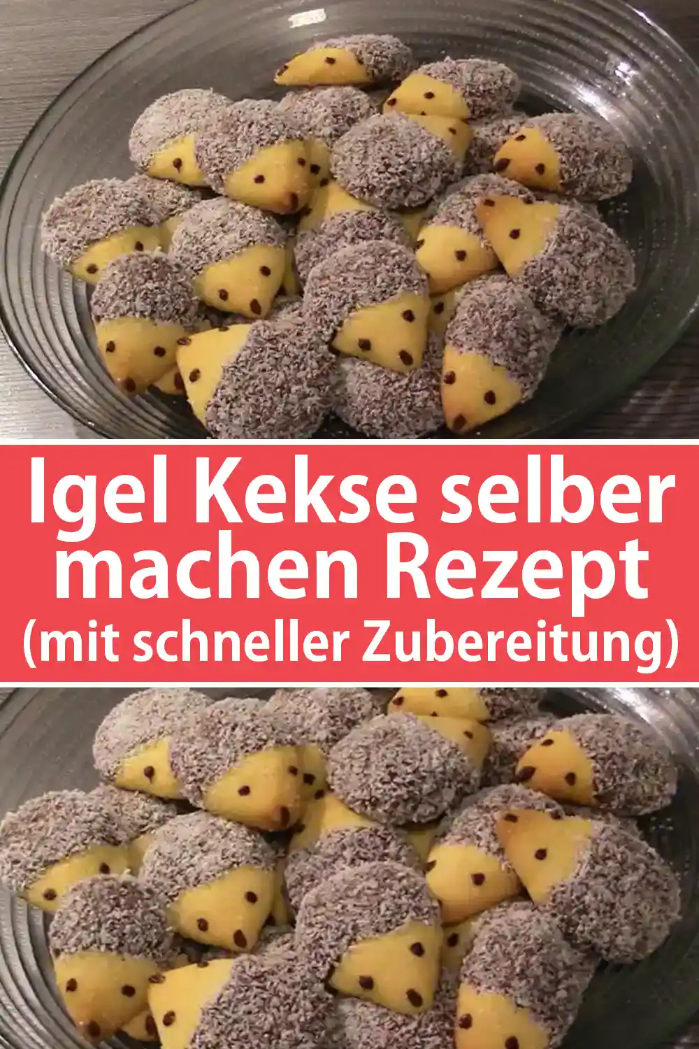 Igel Kekse selber machen Rezept (mit schneller Zubereitung)