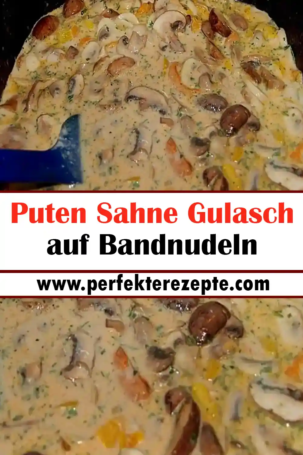 Puten Sahne Gulasch auf Bandnudeln