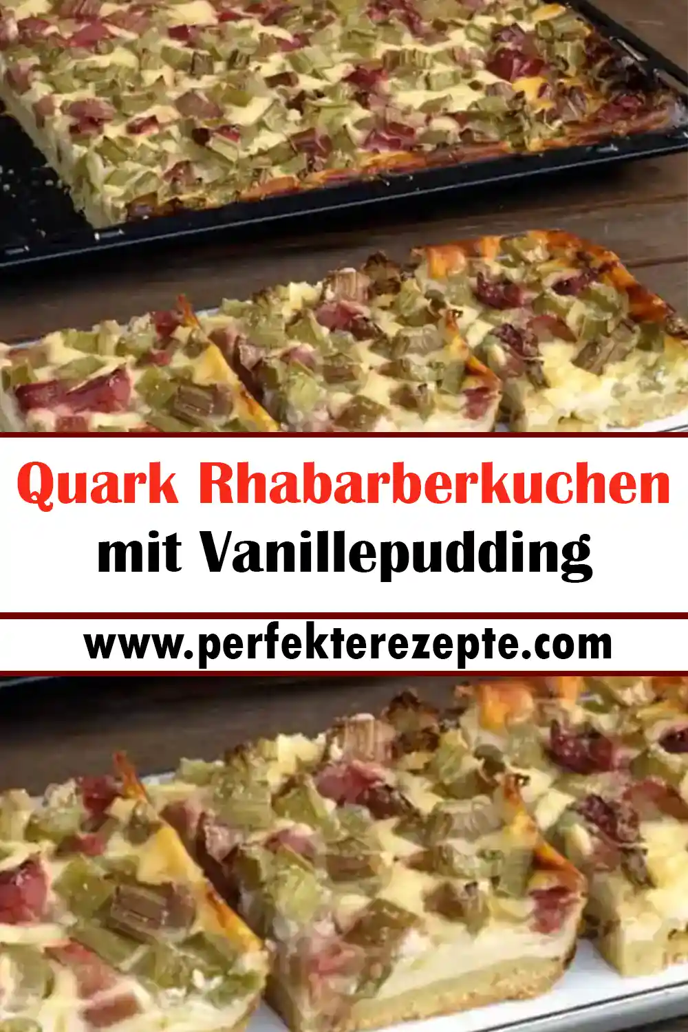 Quark Rhabarberkuchen mit Vanillepudding Rezept