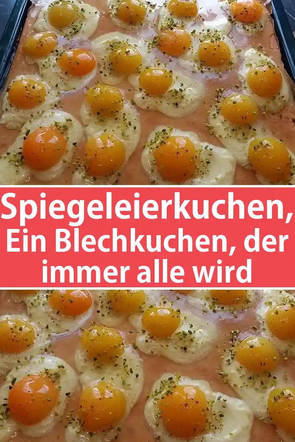 Spiegeleierkuchen Rezept, Ein Blechkuchen, der immer alle wird