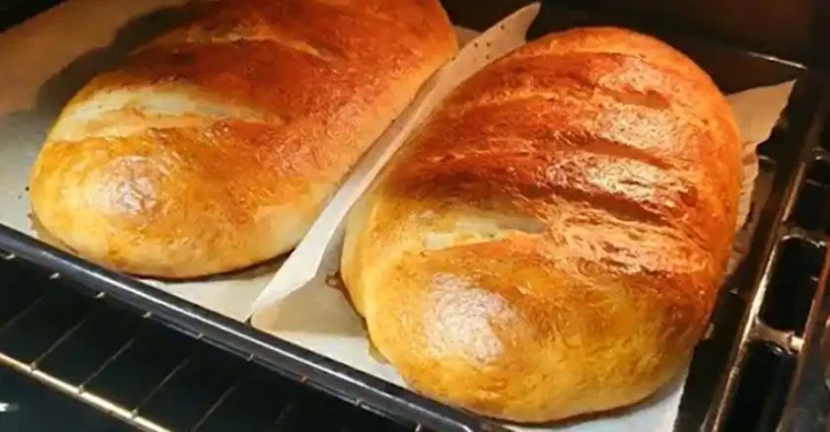 Brot-Rezept: Ich kaufe kein Brot mehr, ich backe es zweimal pro Woche!