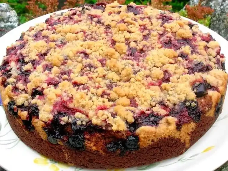Saftiger Zwetschgenkuchen mit Zimtstreuseln und Quark-Öl-Teig ...