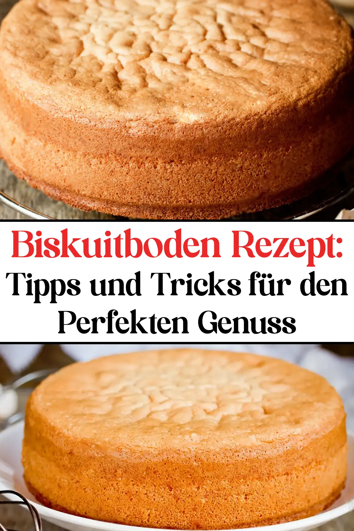 Biskuitboden Rezept: Tipps und Tricks für den Perfekten Genuss