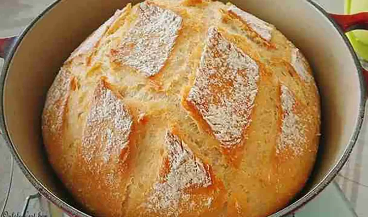 Hausbrot wie vom Bäcker - Mega lecker und selbstgemacht!