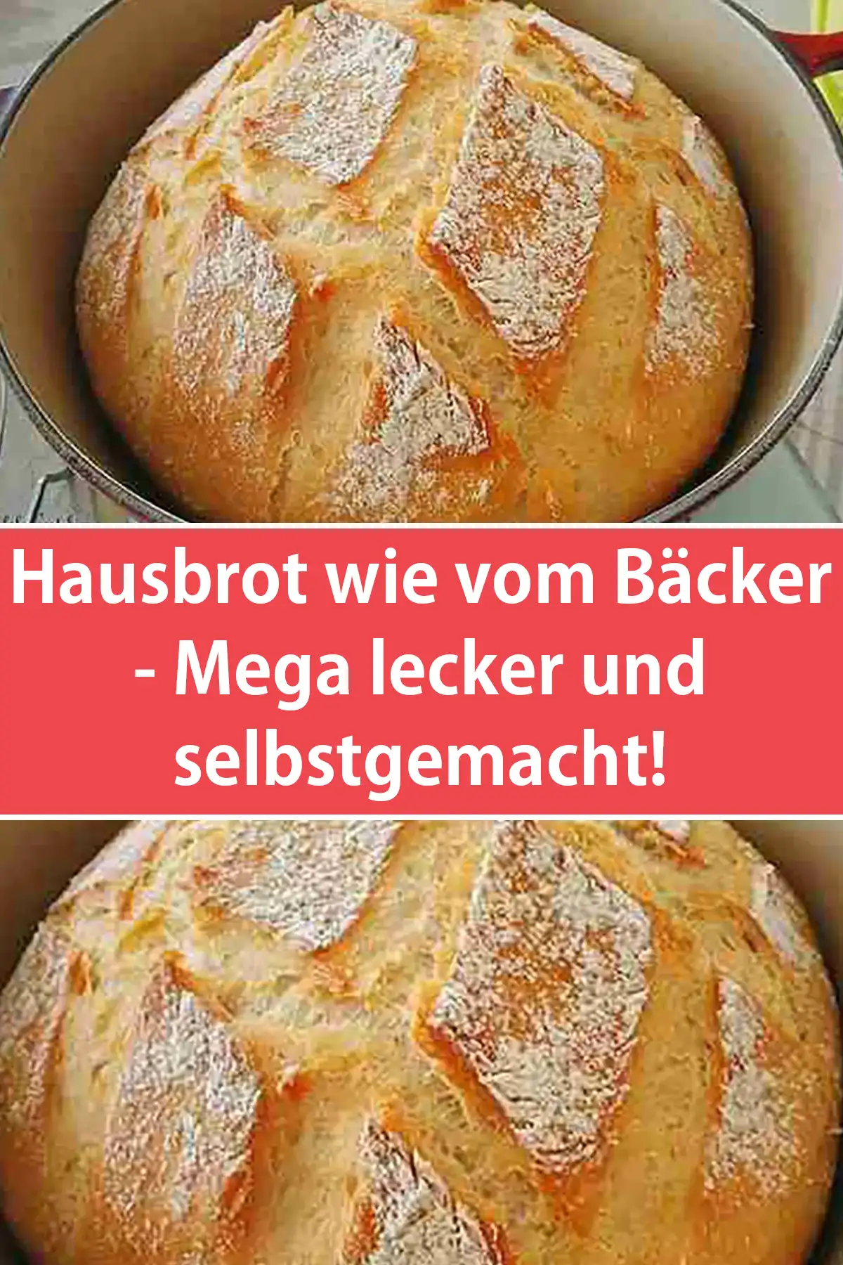 Hausbrot wie vom Bäcker - Mega lecker und selbstgemacht!