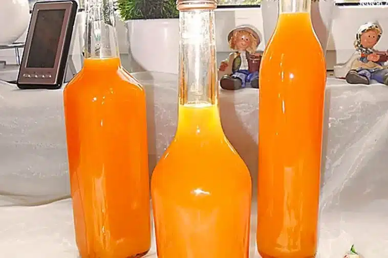 Mandarinenlikör Rezept - Ein echter Publikumsmagnet, egal wo!