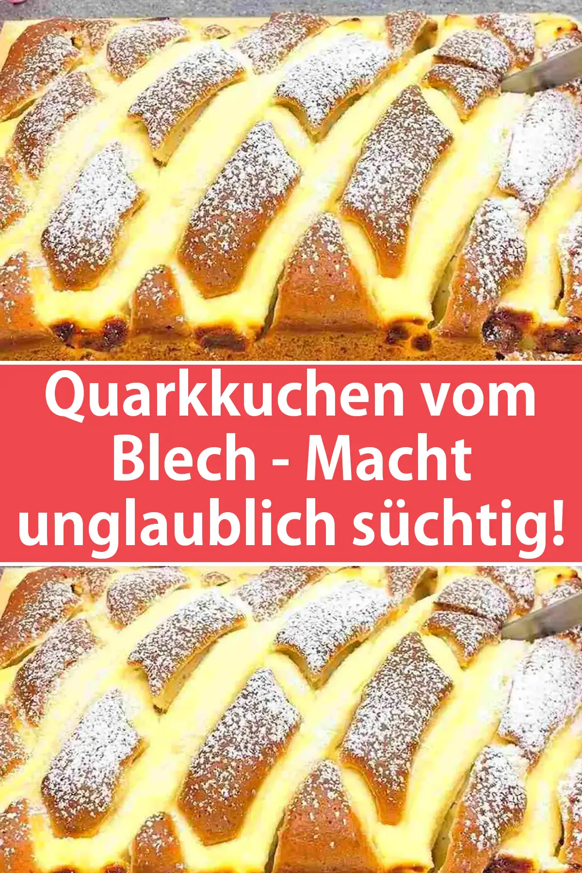 Quarkkuchen vom Blech - Macht unglaublich süchtig!