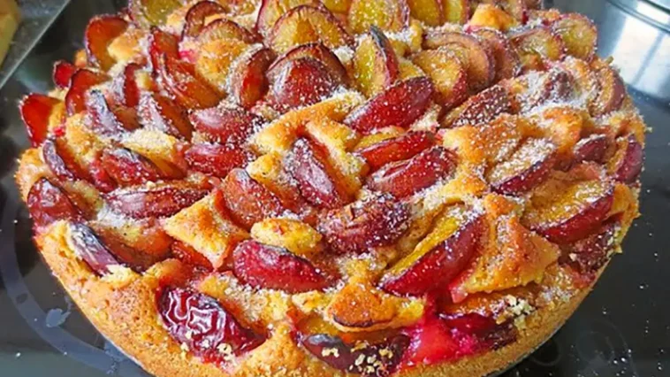 Weltbester Pflaumenkuchen - Blitzschnell fertig und unglaublich lecker!