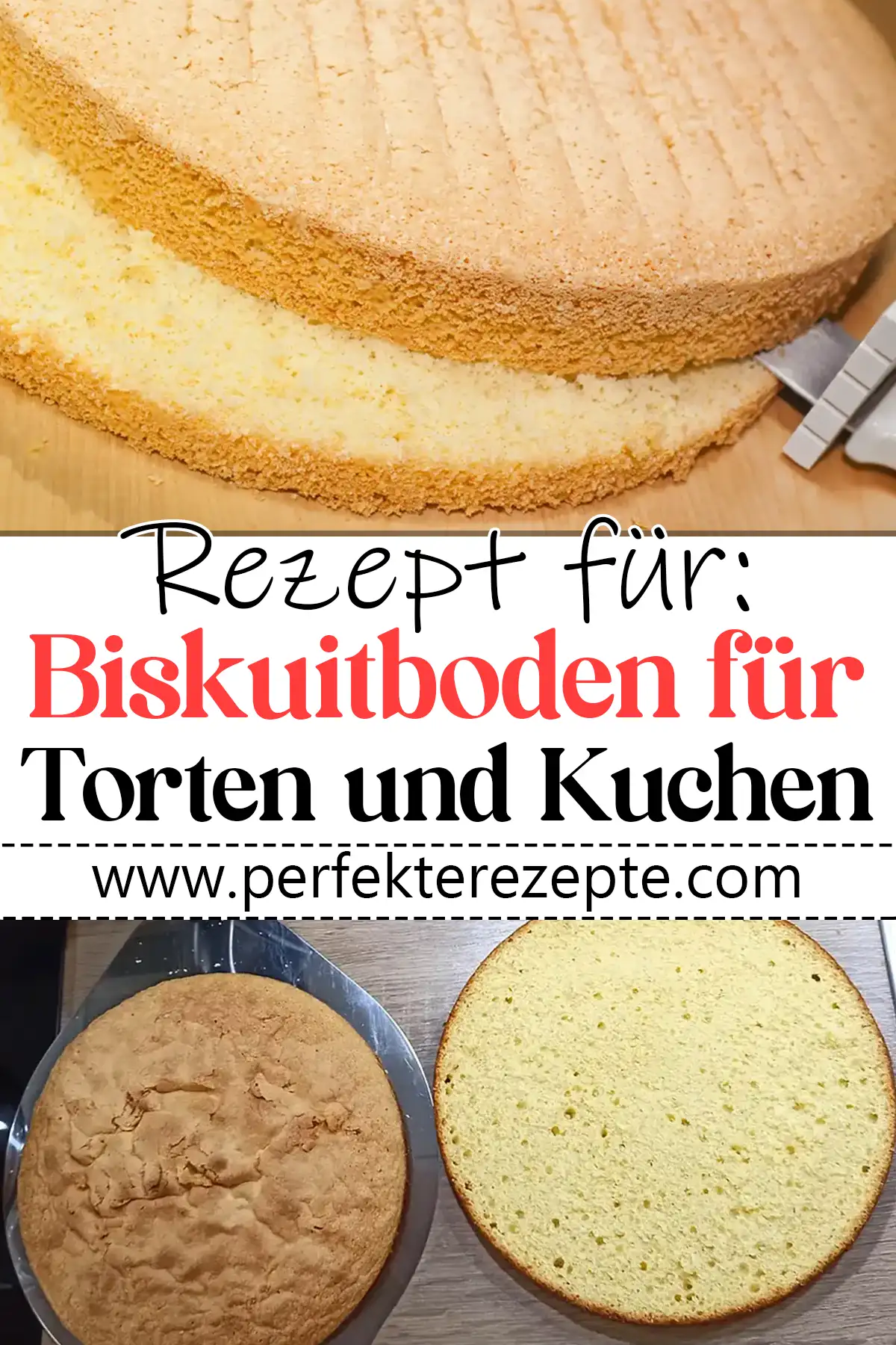 Biskuitboden für Torten und Kuchen