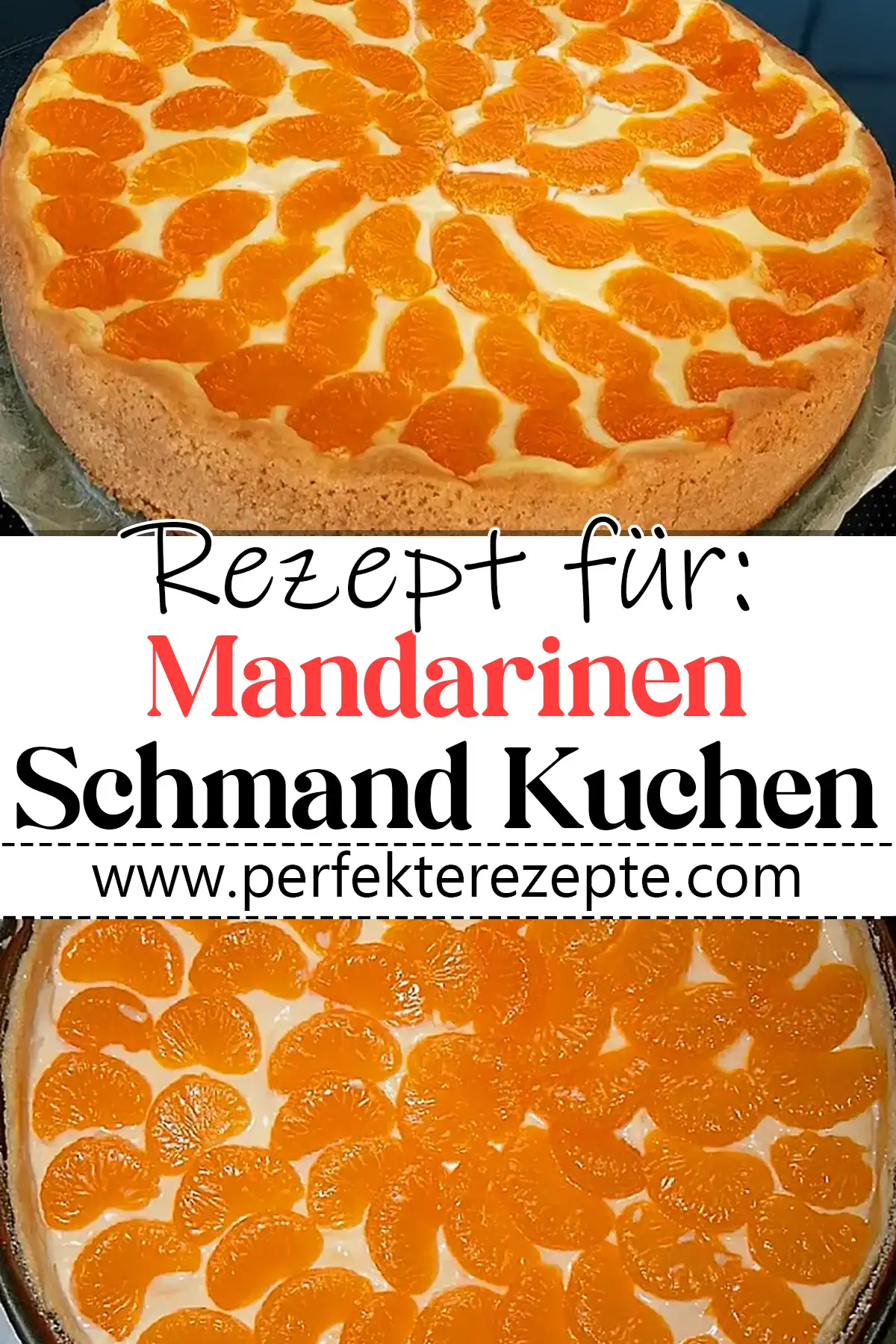 Cremiger Mandarinen-Schmand-Kuchen Rezept