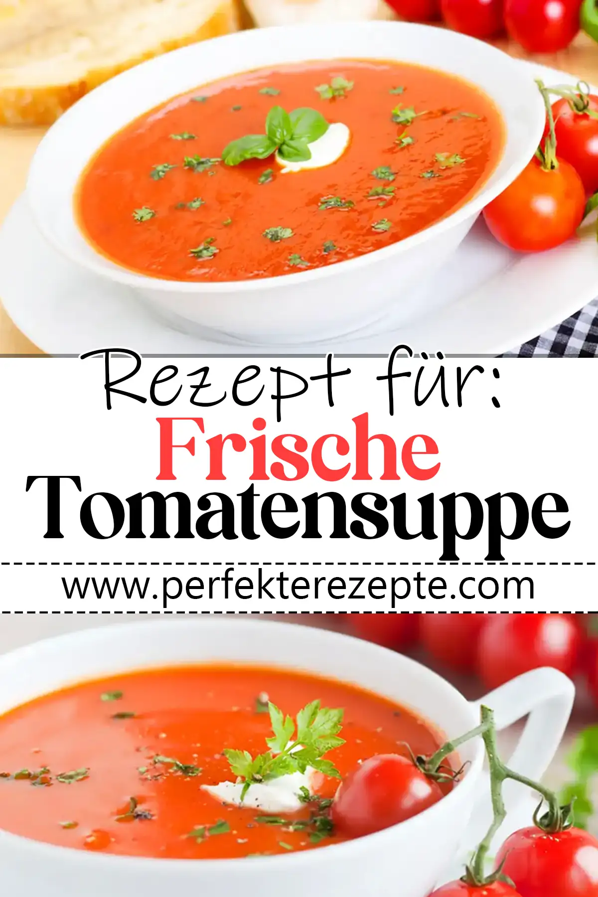 Frische Tomatensuppe Rezept