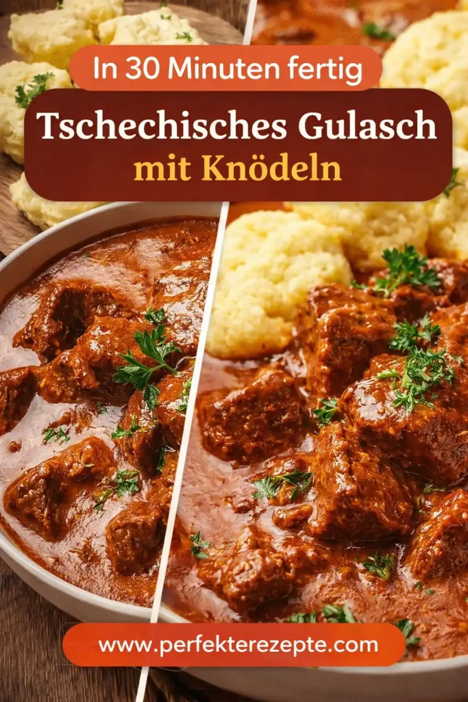 Frisch zubereitetes Gulasch nach tschechischer Art mit Beilage